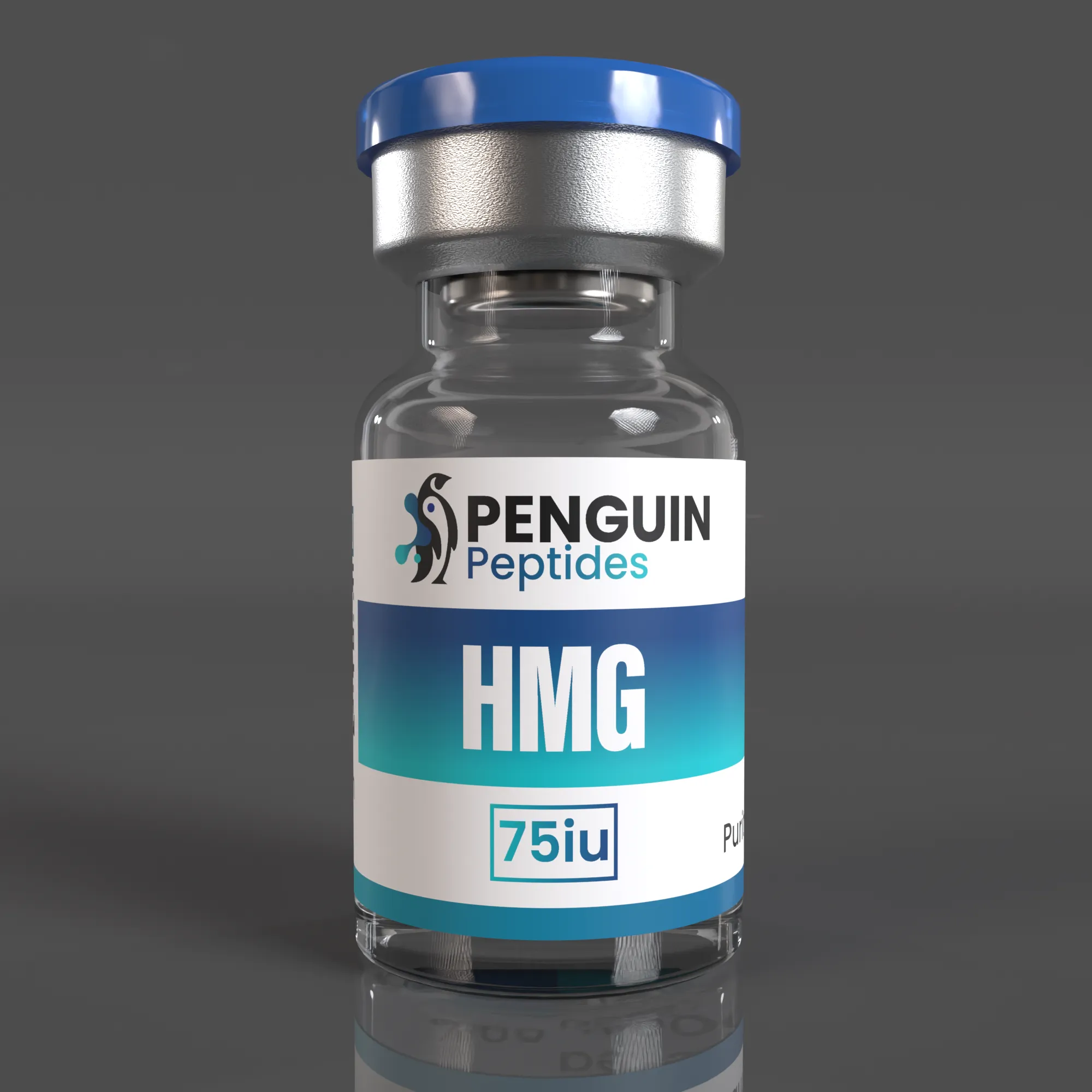 HMG HMG